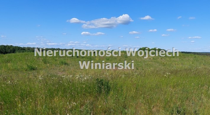 łąki i pastwiska