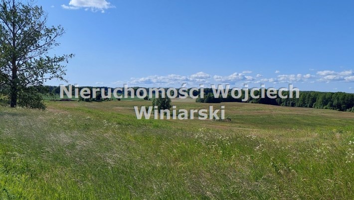 łąki i pastwiska