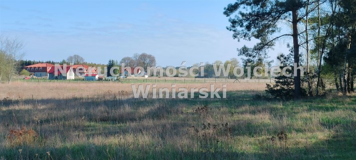 Stawno działka
