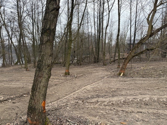 działka budowlana