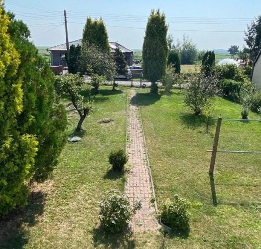 ogród