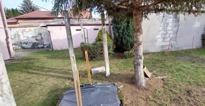 ogród